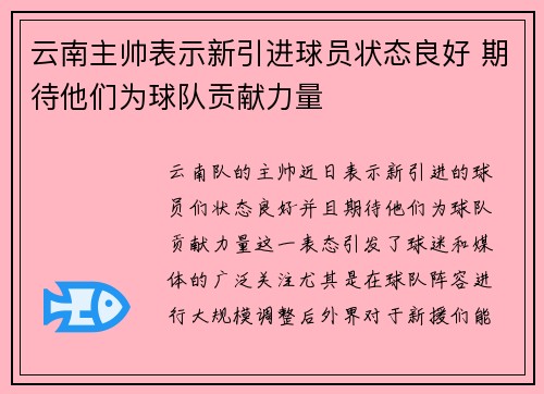 云南主帅表示新引进球员状态良好 期待他们为球队贡献力量